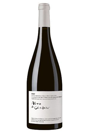 Magna Vides Vino De La Tierra De Castilla Y Le N Alma De C Ntaro