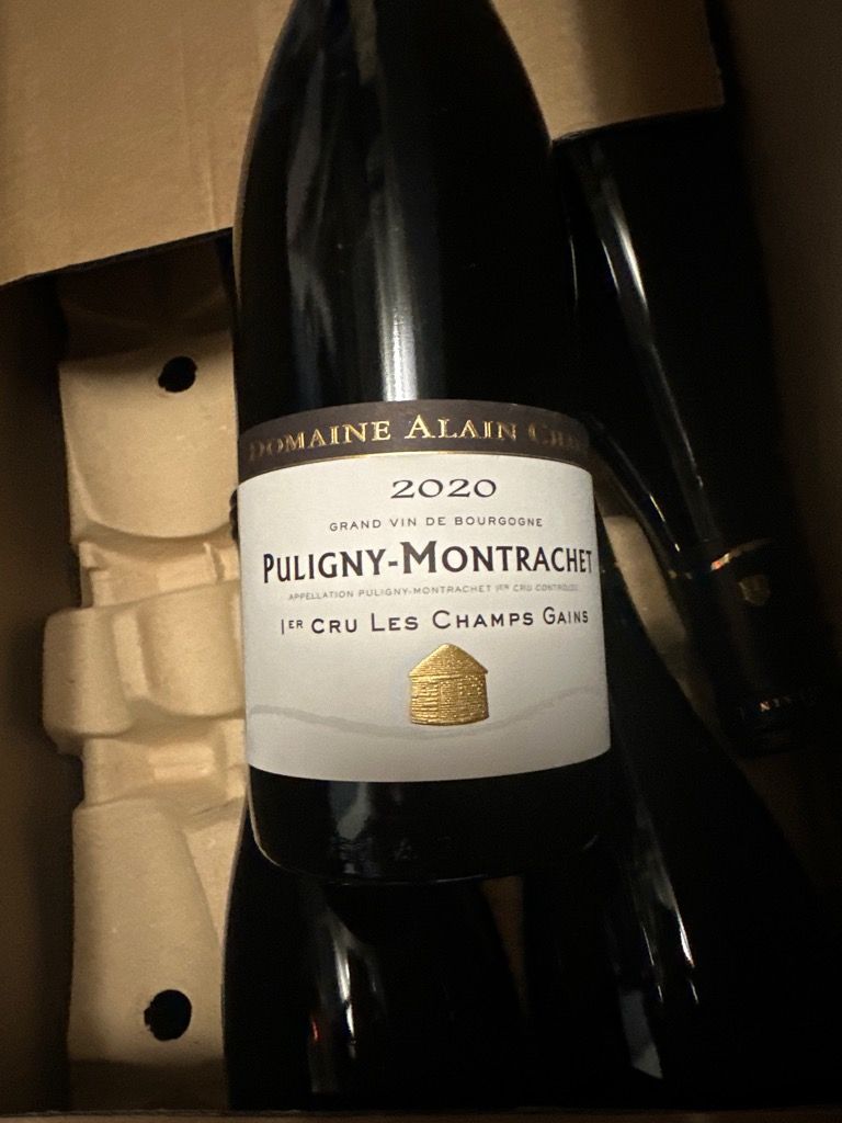 2020 Domaine Alain Chavy Puligny Montrachet 1er Cru Les Champs Gain