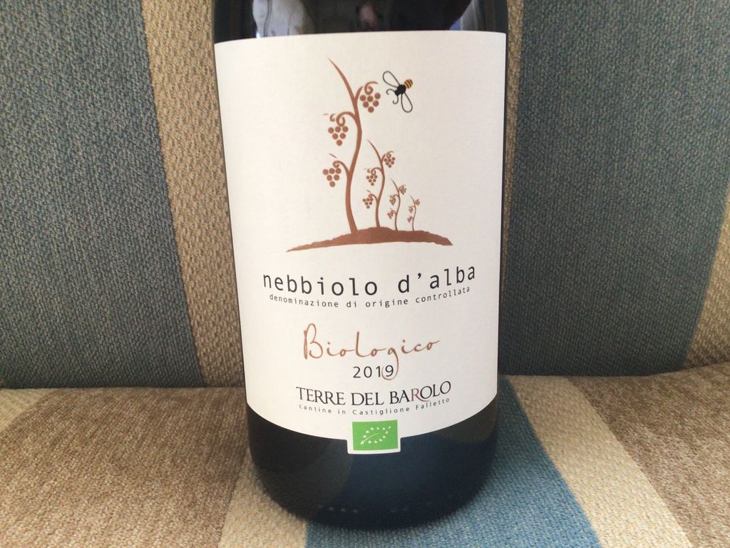 2019 Cantina Terre Del Barolo Nebbiolo d Alba Biológico Italy