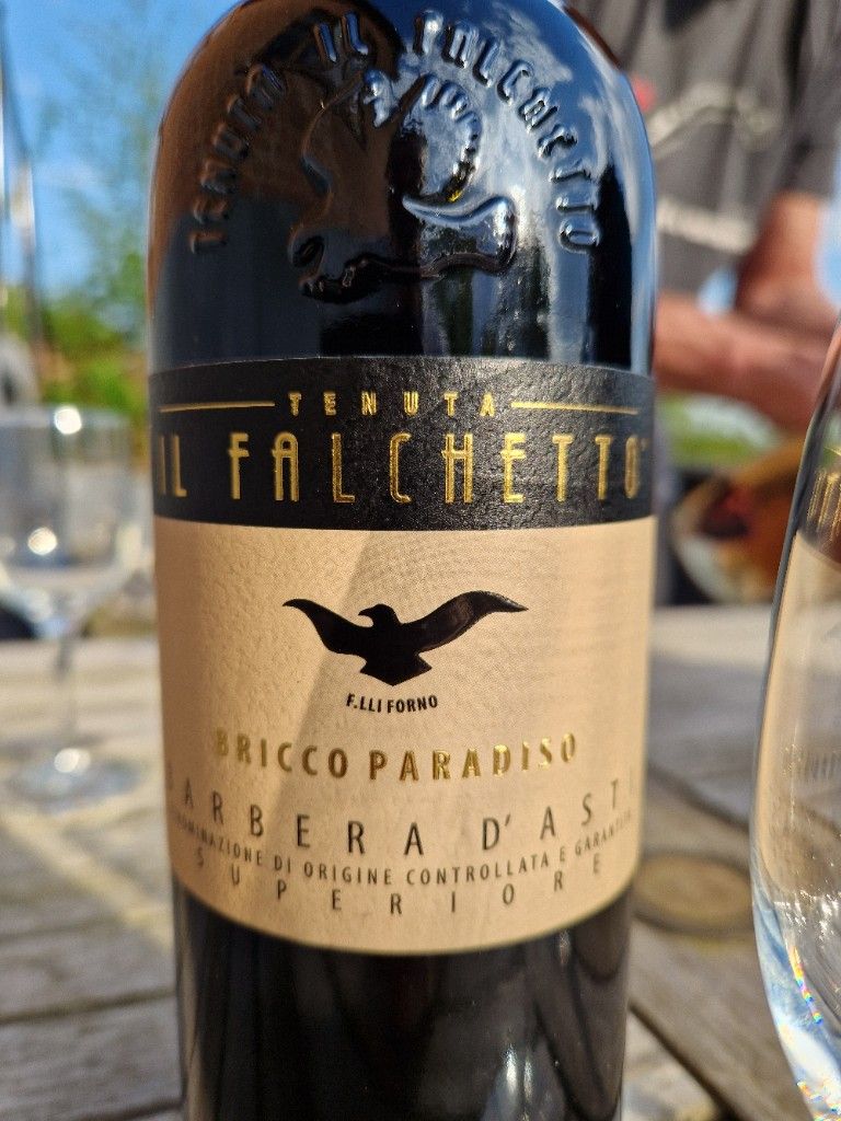 2019 Tenuta Il Falchetto Barbera D Asti Superiore Bricco Paradiso