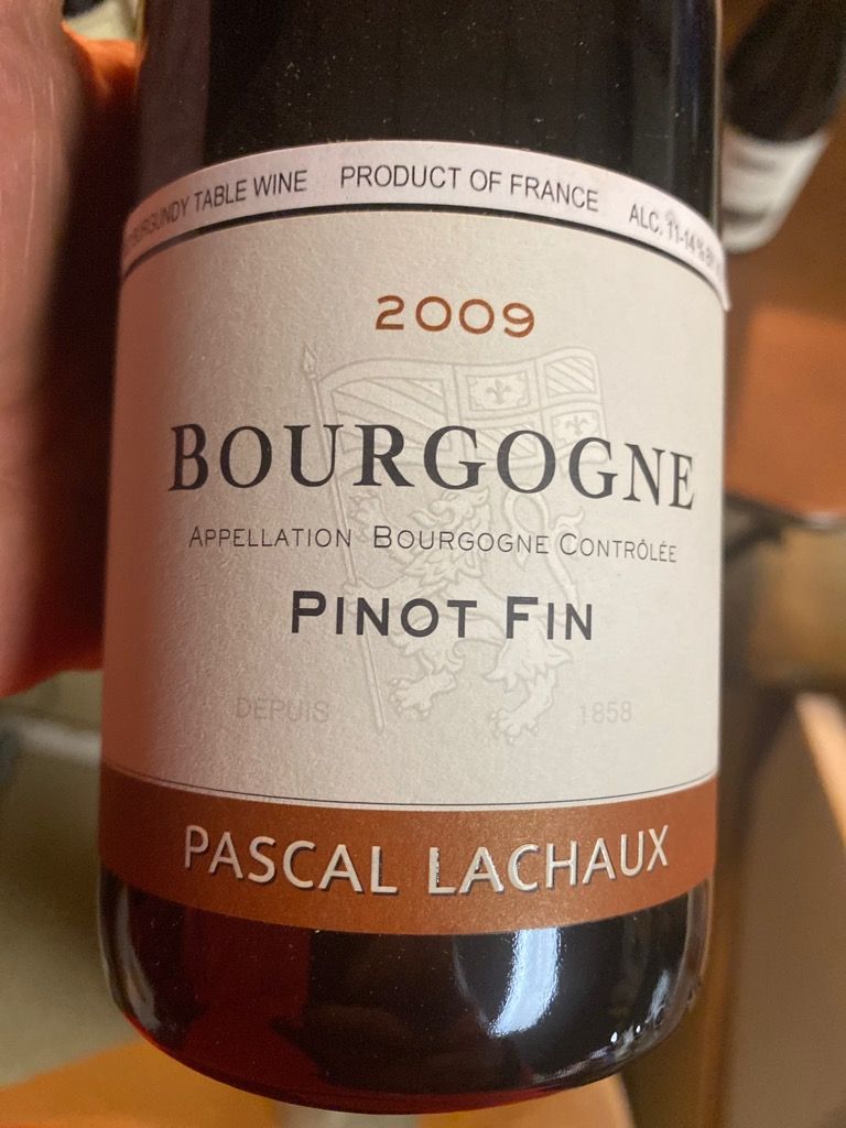 飲料・酒 Borgogne Pinot fin 2005 Pascal Lachaux
