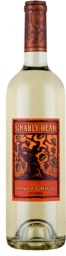 2009 Gnarly Head Pinot Grigio, USA, California - CellarTracker