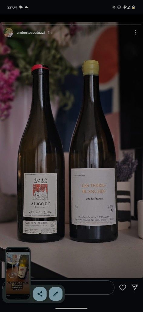 2022 Alice et Olivier De Moor Bourgogne-Aligoté Plantation 1902