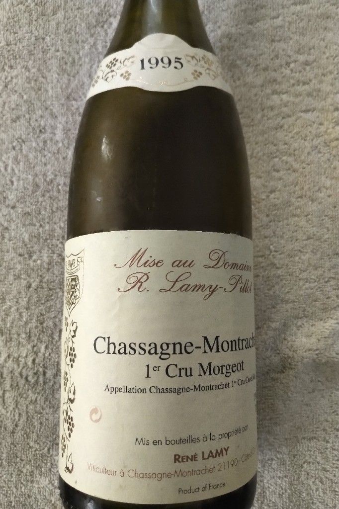 2022 Domaine Lamy-Pillot Chassagne-Montrachet 1er Cru Morgeot