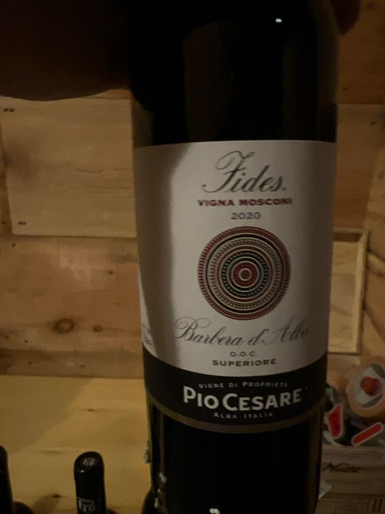 Fides Barbera d'Alba Superiore Vigna Mosconi - Pio Cesare