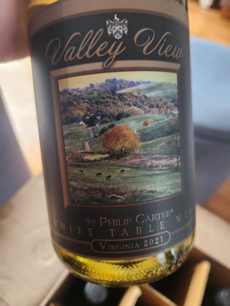 2021 Philip Carter Valley View, USA, Virginia, Northern Virginia