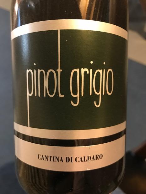 2015 Cantina di Caldaro Pinot Grigio, Italy, Trentino-Alto Adige, Alto ...