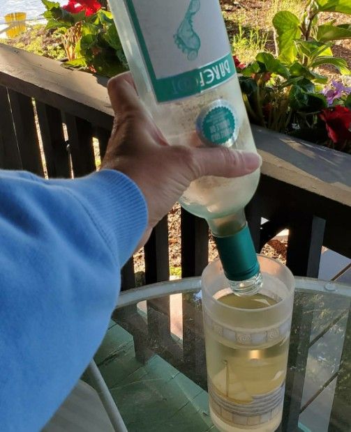 NV Barefoot Cellars Moscato USA California CellarTracker