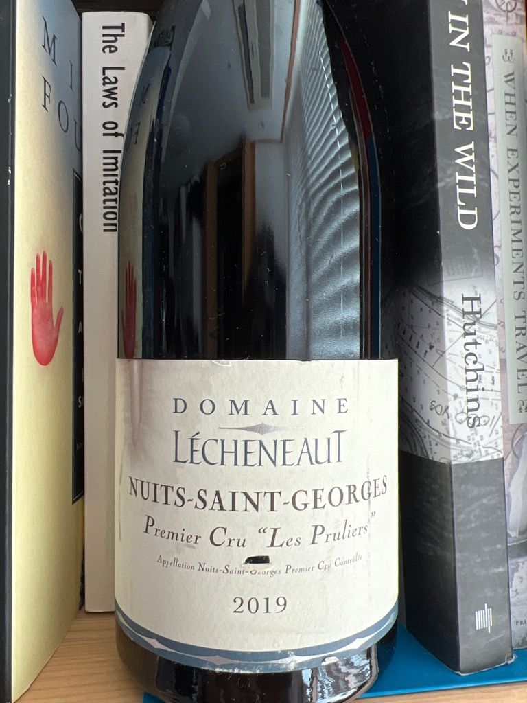 2019 Fernand Lécheneaut et Fils (Philippe et Vincent) Nuits-Saint
