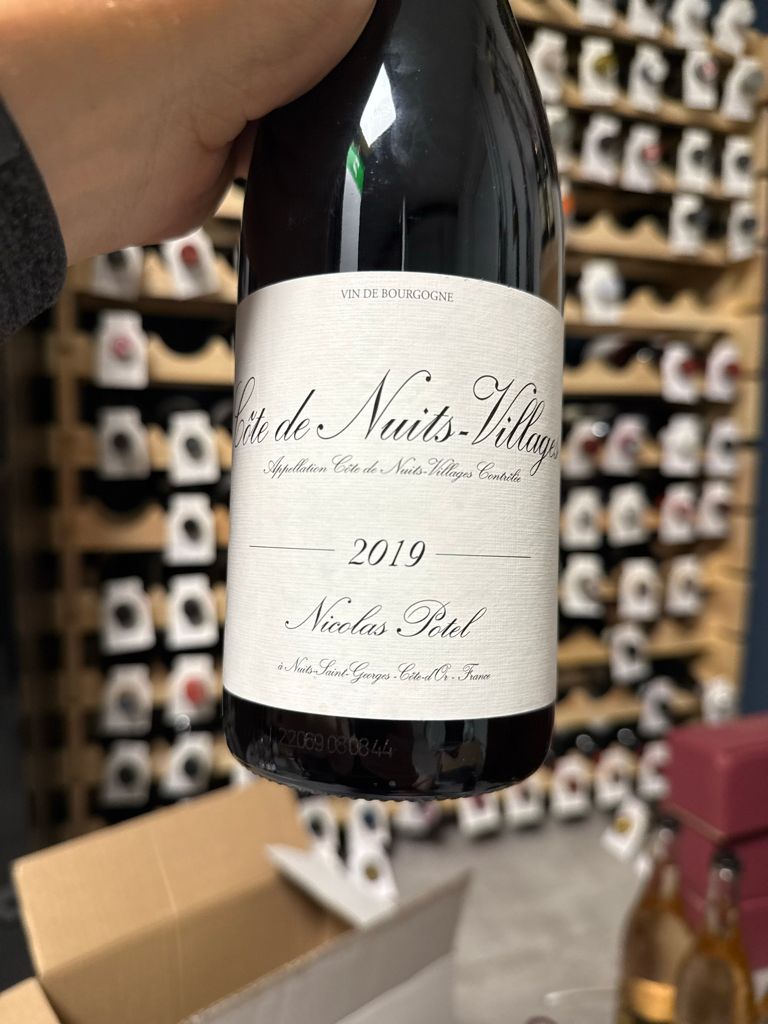 2010 Nicolas Potel Côte de Nuits Villages - CellarTracker