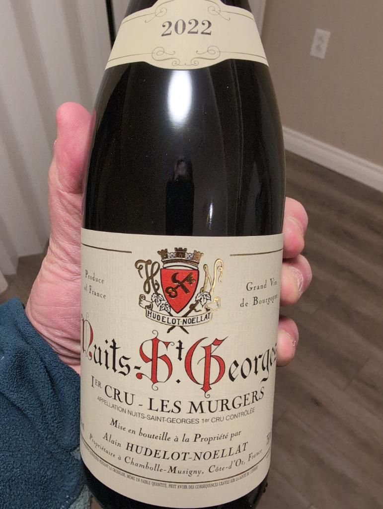 2014 Alain Hudelot-Noëllat Nuits-Saint-Georges 1er Cru Les Murgers