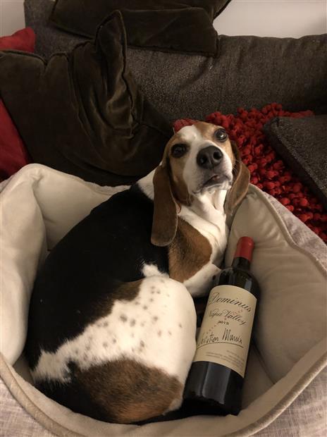 2015 Dominus Estate - CellarTracker