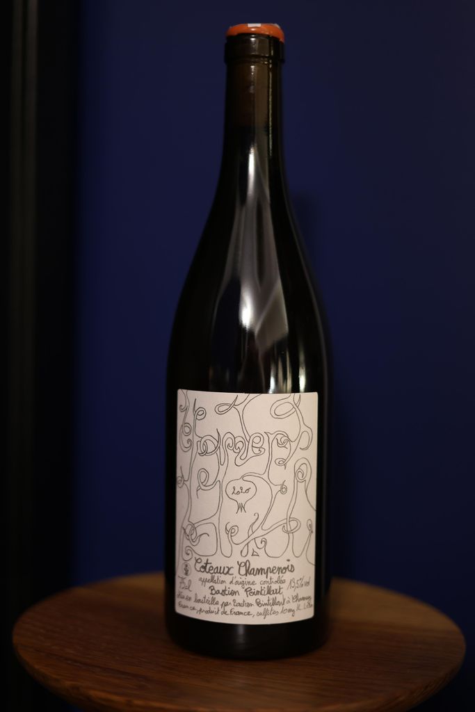 2020 Bastien Pointillart Coteaux Champenois Blanc - CellarTracker