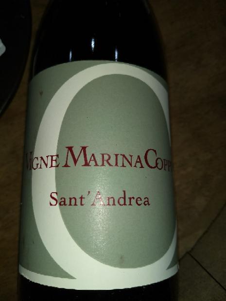 2010 Vigne Marina Coppi Piemonte Barbera Sant Andrea Italy Piedmont 