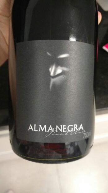 Vinho Argentino Pinot Noir 750Ml Alma Negra (7899413353215)