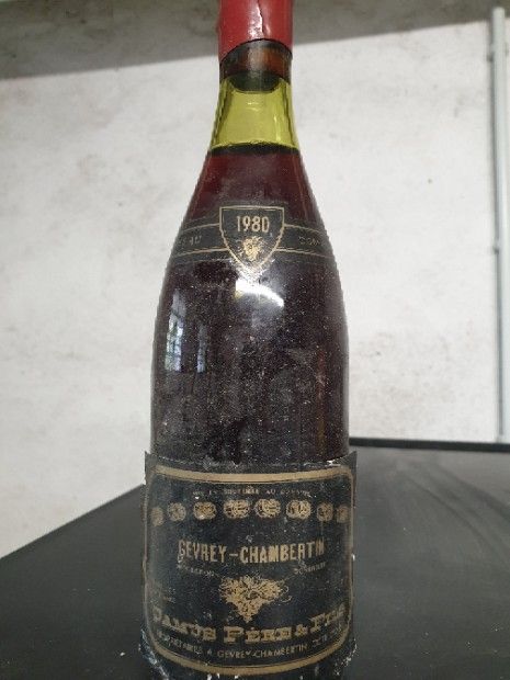 2013 Camus Pere & Fils Gevrey-Chambertin - CellarTracker