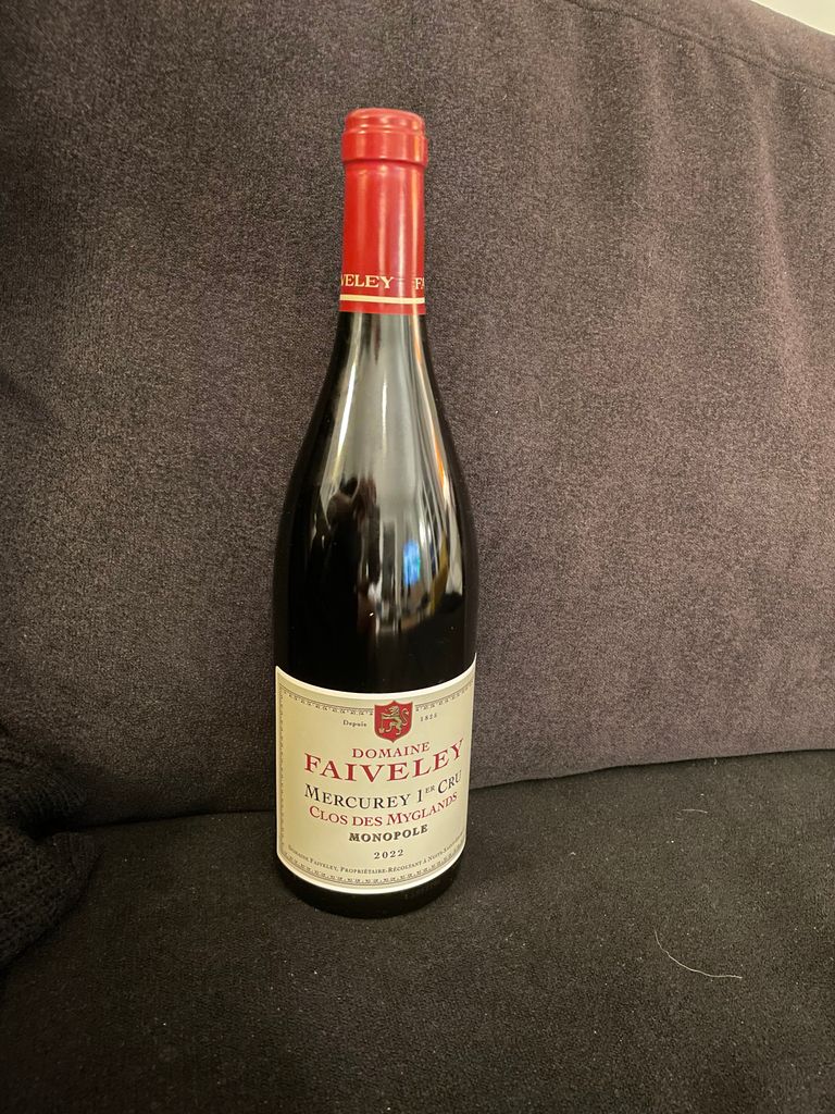 2022 Faiveley Mercurey 1er Cru Clos des Myglands - CellarTracker
