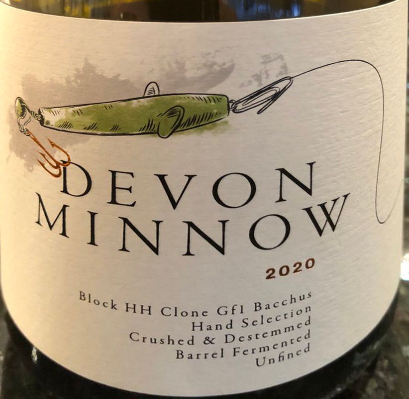 2019 Castlewood Vineyard Bacchus Devon Minnow, United Kingdom, England, South West, Devon