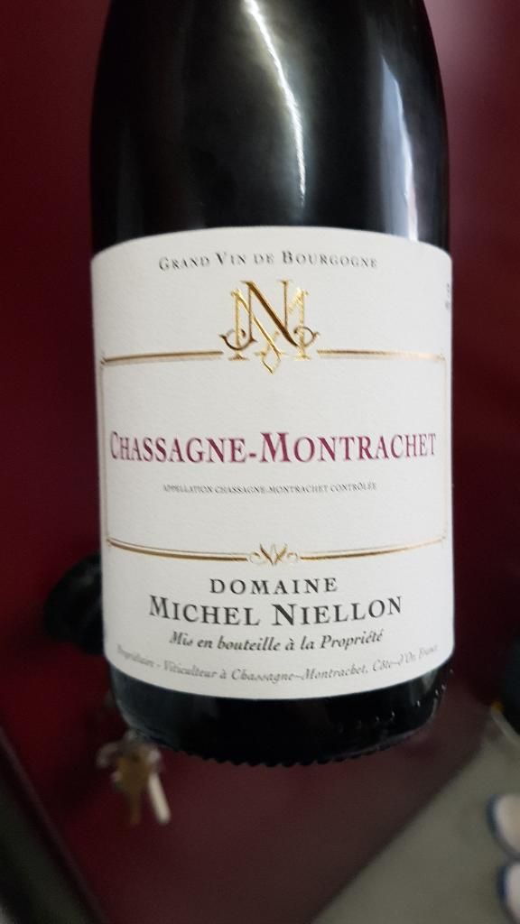 2022 Domaine Michel Niellon Chassagne-Montrachet Rouge - CellarTracker
