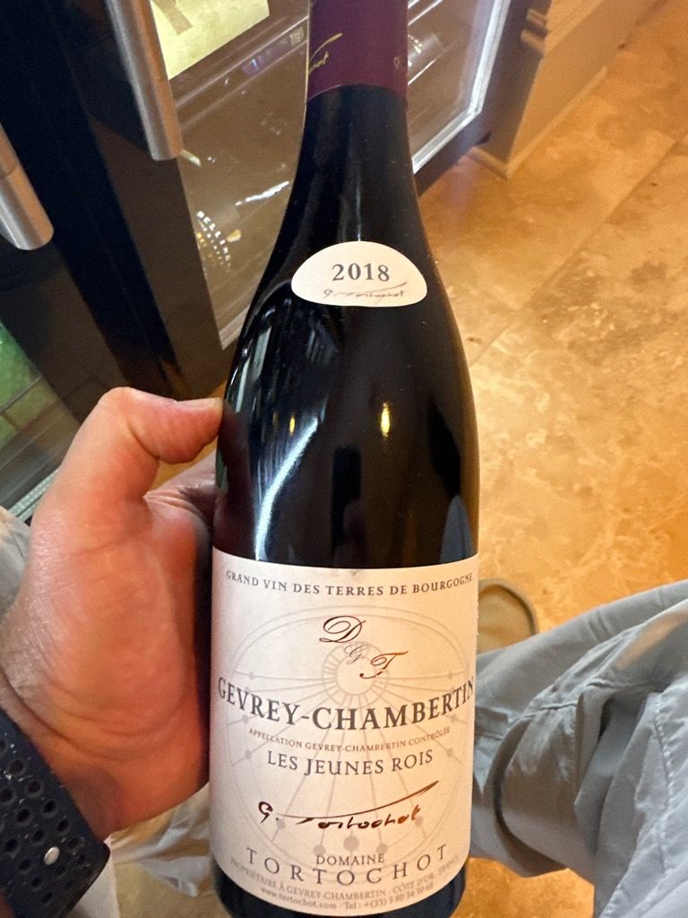 2019 Domaine Tortochot Gevrey-Chambertin Les Jeunes Rois