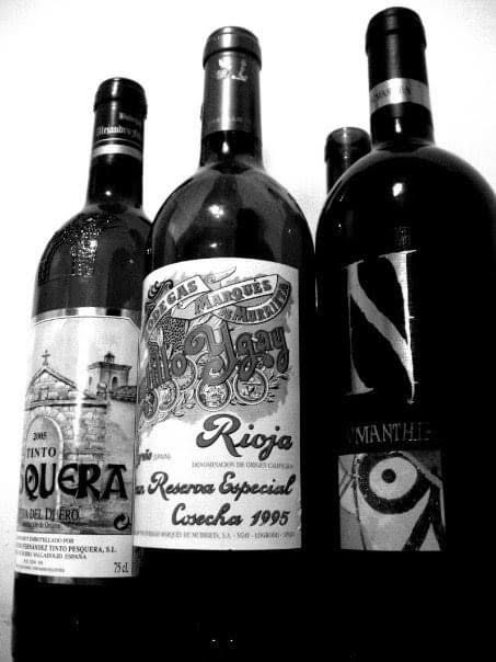 1995 Marqués de Murrieta Rioja Castillo Ygay Gran Reserva