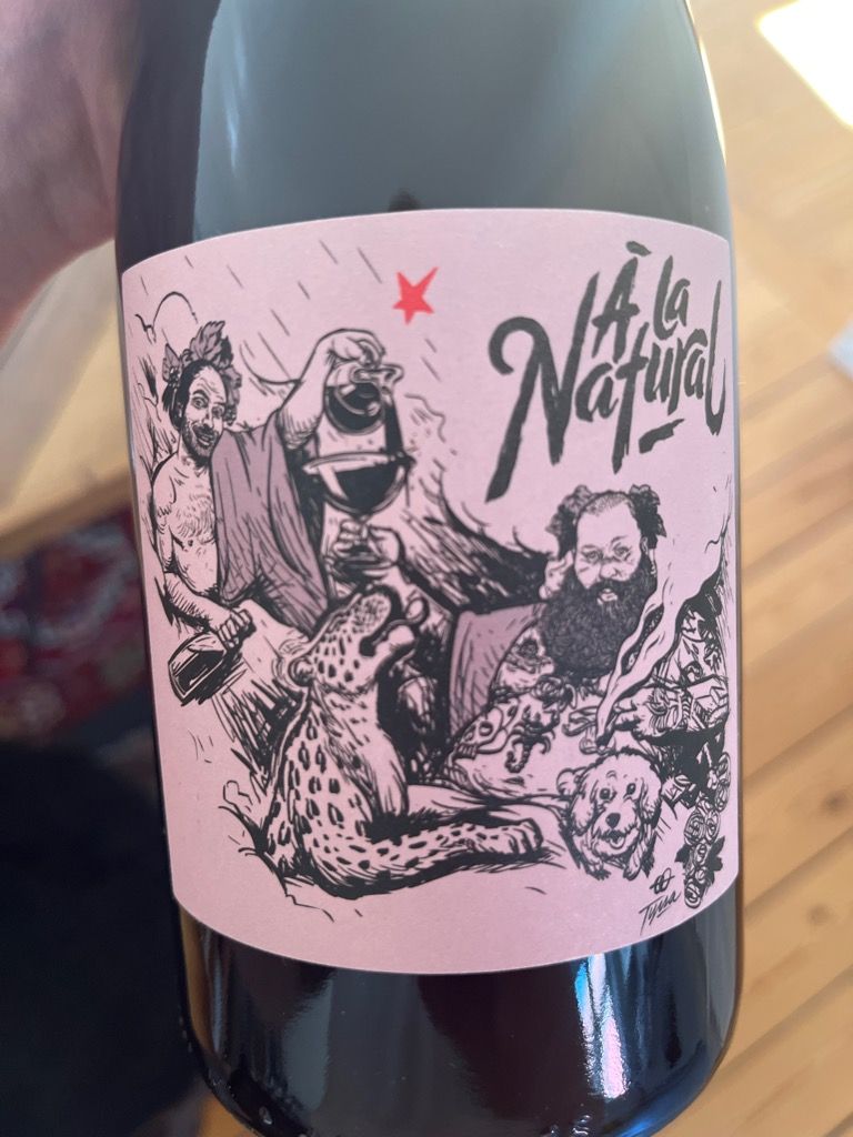 Nv Domaine La Bohème Patrick Bouju A La Natural Rouge France Loire