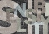 N.V.