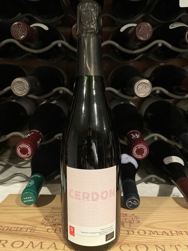 N.V. Renardat-Fâche Bugey Cerdon Rosé Sparkling Wine - CellarTracker