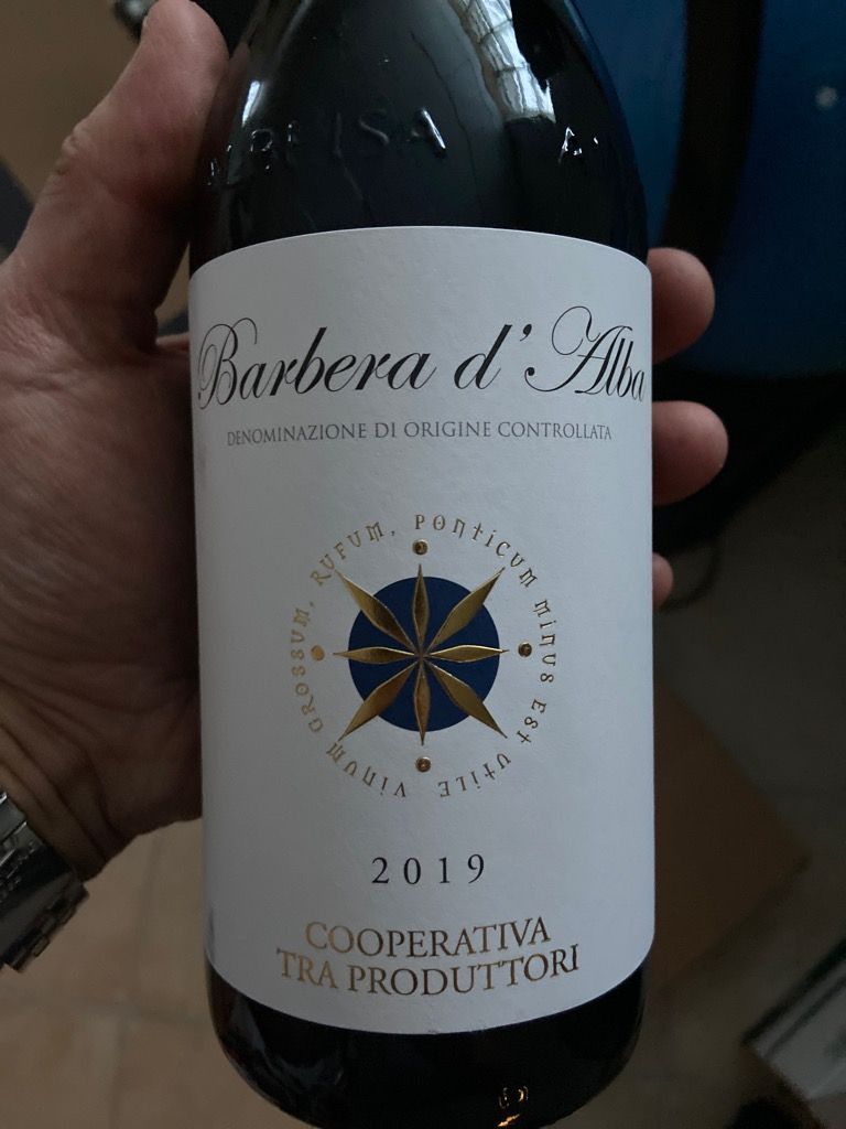 2019 Cantina Terre Del Barolo Barbera d'Alba Tra Produttori, Italy ...