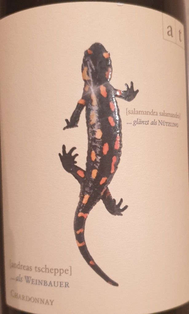 アンドレアスツェッペSalamander2017 Andreas Tscheppe | Salamander 2021 | MORE Natural Wine