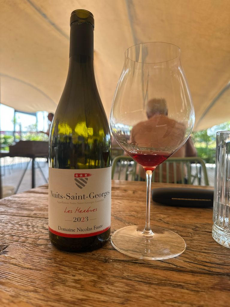 2023 Domaine Nicolas Faure Nuits-Saint-Georges Les Herbues