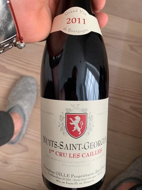 2010 Domaine Gille Nuits St. Georges 1er Cru Les Cailles, France ...