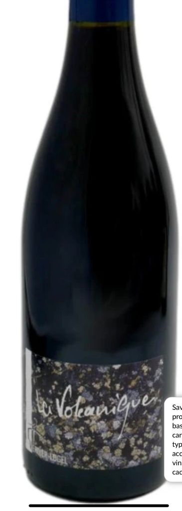 2023 Domaine Verdier-Logel Côtes du Forez La Volcanique