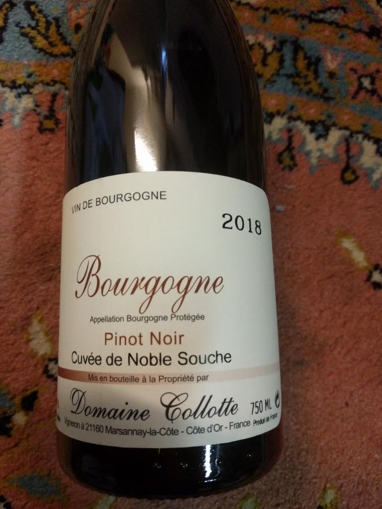 2018 Domaine Collotte Bourgogne Cuvée de Noble Souche, France, Burgundy ...