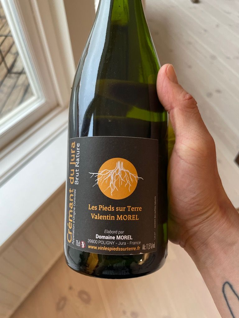 2019 Domaine Morel Chardonnay Les Pieds Sur Terre Brut Nature, France