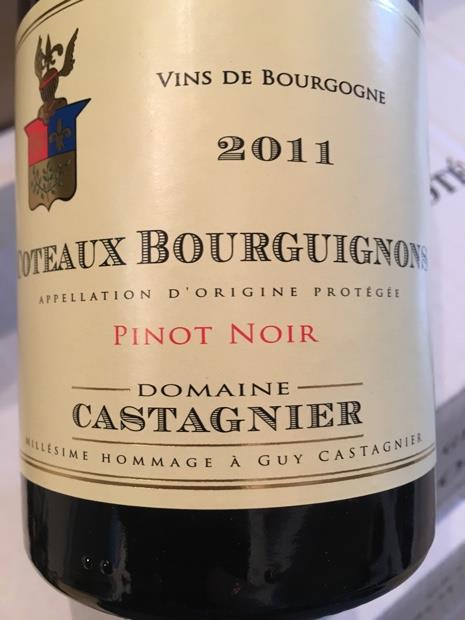 2018 Domaine Castagnier Coteaux Bourguignons - CellarTracker