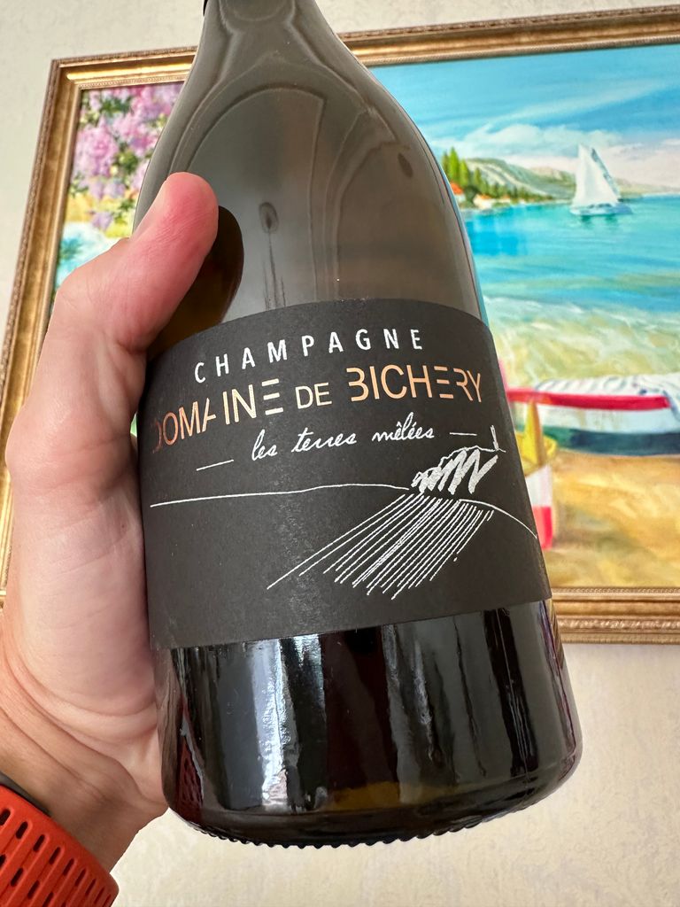 2022 Domaine de Bichery Champagne Les Terres Melees - CellarTracker