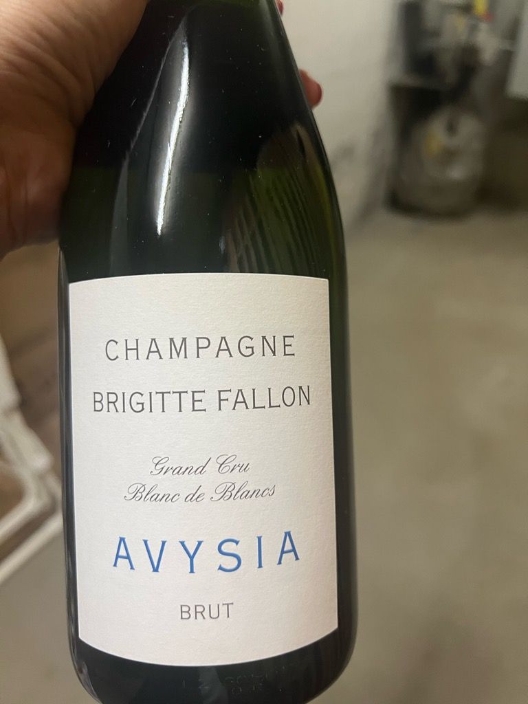 ブリジットファロン 2本セット 2015 Avysia 日本初入荷