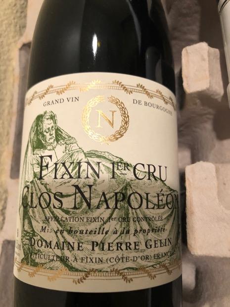 1999 Domaine Pierre Gelin Fixin 1er Cru Clos Napoleon - CellarTracker