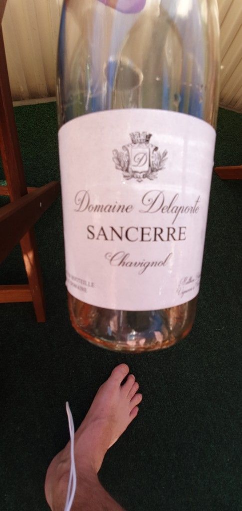 2019 Domaine Delaporte Sancerre Rosé Chavignol, France, Loire Valley ...