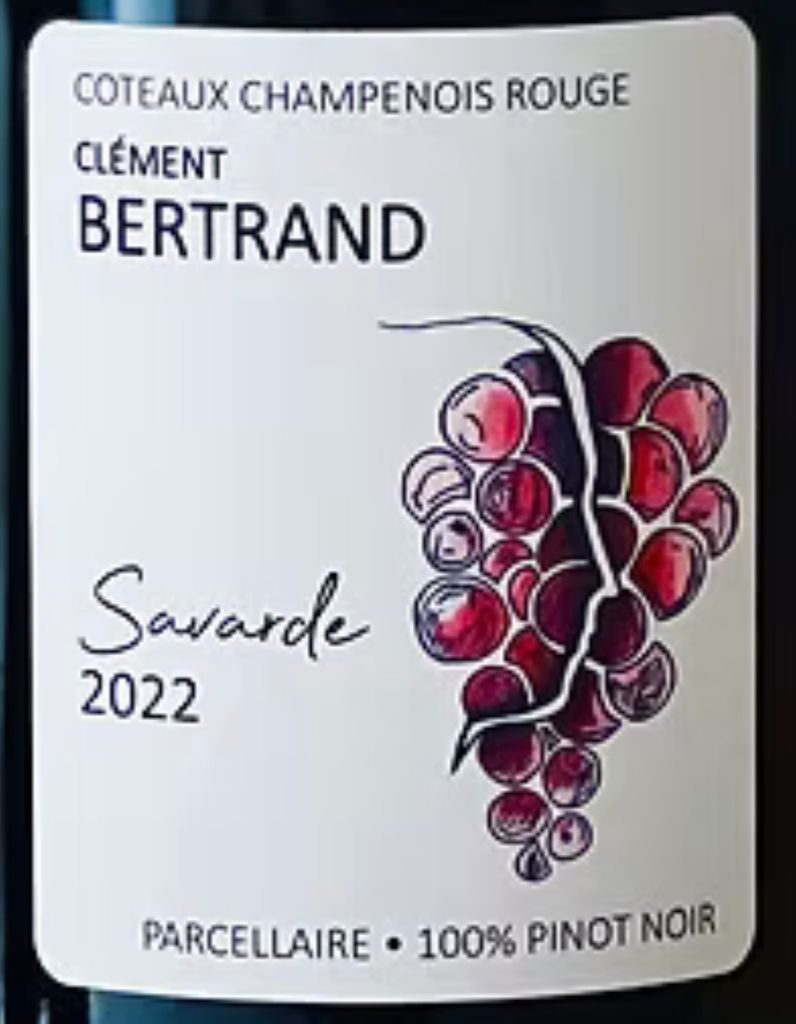 Savarde 2022 Clément Bertrand Coteaux Champenois Savarde, France, Champagne ...