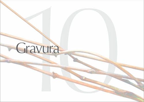 N.V.