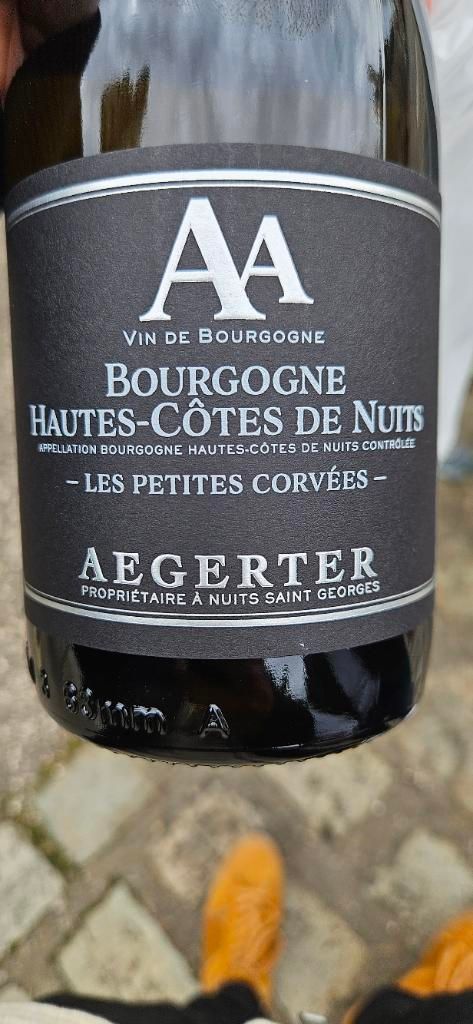 2023 Jean Luc et Paul Aegerter Bourgogne Hautes-Côtes de Nuits Les