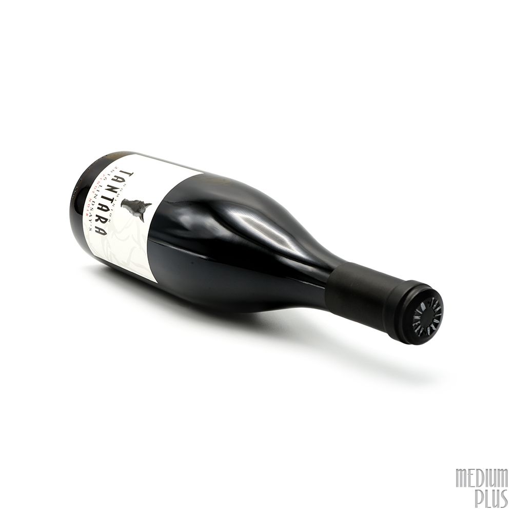 2019 Dominion Tantara Pinot Noir Lindsay's Vineyard - CellarTracker