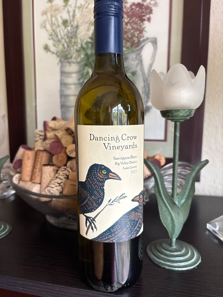 2022 Dancing Crow Vineyards Sauvignon Blanc, USA, California, North ...