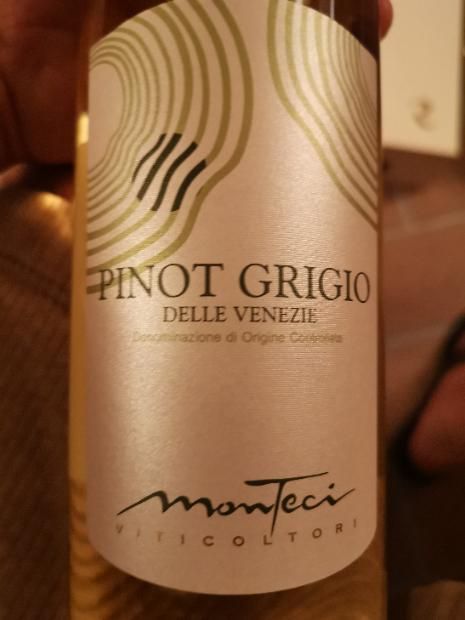 2018 Monteci pinot grigio organic, Italy - CellarTracker