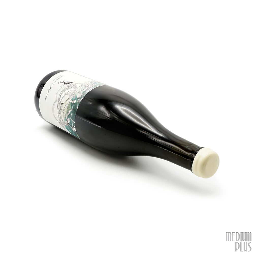 2020 Les Horées Gevrey-Chambertin En Reniard - CellarTracker