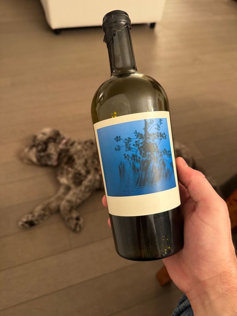 2014 Sine Qua Non Grenache Shakti - CellarTracker