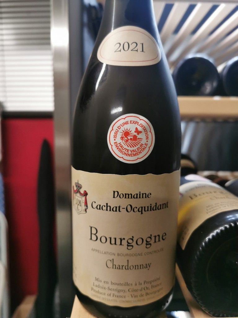 2021 Domaine Cachat-Ocquidant Bourgogne Blanc, France, Burgundy ...