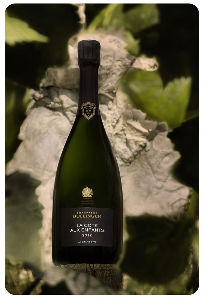 Bollinger La Côte Aux Enfants 2013 750ml Bollinger La Cote aux Enfants Champagne 2013 - Premier Champagne